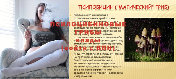 apvp Алексеевка